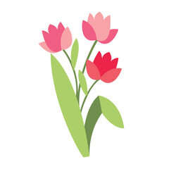Fototapeta premium Vector pink tulip flowers with leaves isolated on white. Cartoon first spring flowers in line used for magazine, poster, web pages. 8 March. Women`s day.
