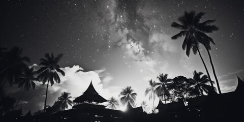 Naklejka premium A captivating black and white photo of the night sky. Perfect for adding a touch of elegance and mystery to any project