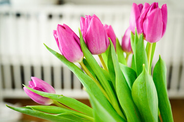 Lila tulips in children's room