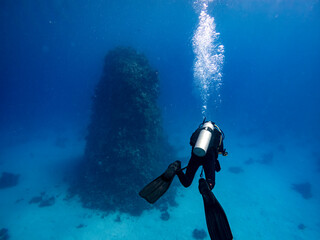 Scuba diver seen form above, behind, Underwater scene with exotic fishes and coral reef of the Red Sea