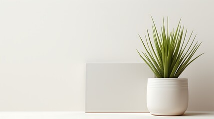 White vase with a plant on a white table against a white wall