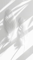Three elegant white feathers against light background with sun rays and shadows. Airy concept. Copy space. Generative AI