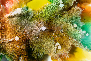 Abstract colorful texture created by paint and chemical reaction