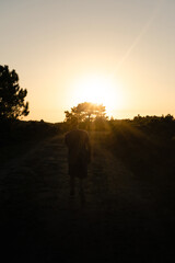 Back view of a hiker with a backpack walking along the trail at sunset on a summer afternoon