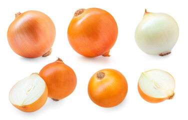 Onion bulbs isolated on white background. Set. Pattern. Flat lay. Creatve layout of Yellow onion.