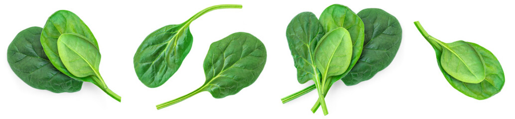 Fesh spinach leaves isolated on white background. Espinach Set. Pattern. Flat lay. Creative layout...