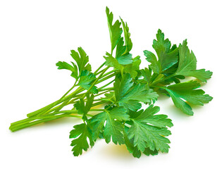 Parsley isolated on white background. Fresh Parsley leaves closeup.