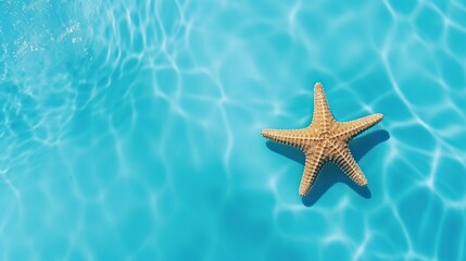 Fototapeta na wymiar Red starfish under water in calming blue sea water, holiday, vocation and relaxing concept