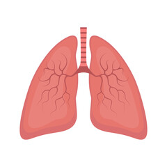 human lungs flat vector illustration on white background