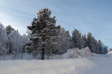 Beautiful winter landscape in Swedish Lapland, Kiruna.