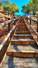 Wooden stairs in the mountain in the middle of trees, Teruel Spain