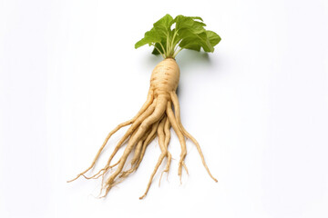 A korean ginseng and ginseng root on a white background.