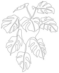 Tropical leaves of monstera hand drawn. Black and white continuous illustration.