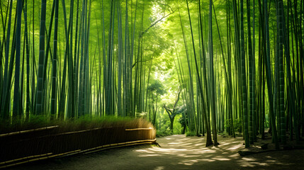 A painting of a path through a bamboo forest,,
 Path Through Bamboo Wonderland