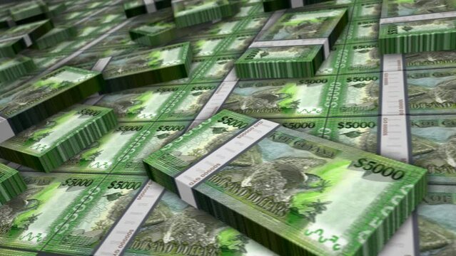 Guyana money Guyanese dollars banknote bundle loop. 5000 GYD money stacks. Concept of business, economy, banking and finance. Camera over cash packs loopable seamless 3d.