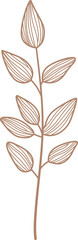 leaves. Hand drawn decorative elements	