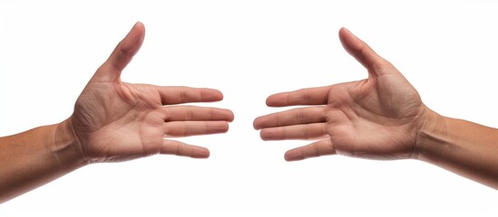 Beautiful woman's palm with bent fingers seen from both front and back, isolated on white.