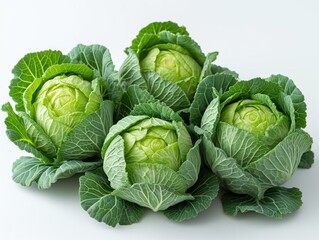 cabbage heads on a white background