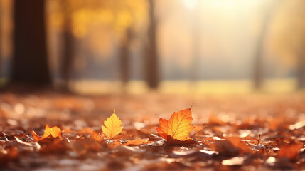 Naklejka na ściany i meble Dry autumn falling leaves