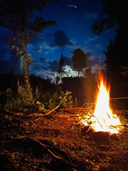 fire in the woods