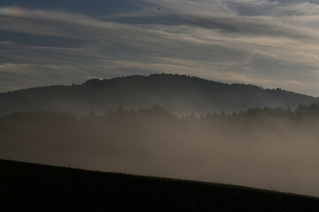 Morgennebel auf dem Lande. Stimmungsvolle Wald und Wiesenlandschaft mit leichtem Nebel