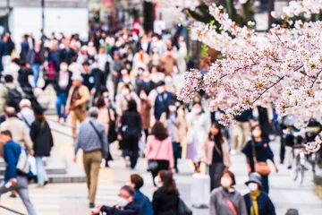 Tuinposter 東京の桜の名所　花見シーズン　混雑する千鳥ヶ淵【東京都・千代田区】　 A famous place for cherry blossoms in Tokyo. "Chidorigafuchi" crowded with people watching cherry blossoms - Tokyo, Japan © Naokita