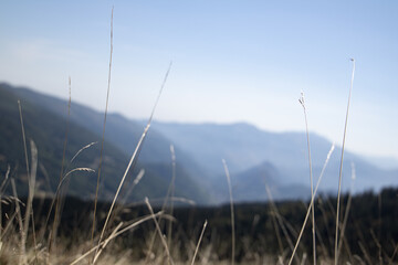Montagne pyr&eacute;n&eacute;es