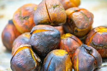 Roasted fruit of the pupunha palm (Bactris gasipaes), typical fruit of the Brazilian tropical forests, Amazonas, Pará, Rondônia and Acre.