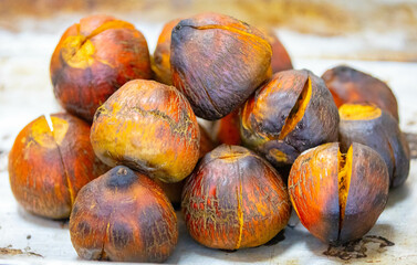 Roasted fruit of the pupunha palm (Bactris gasipaes), typical fruit of the Brazilian tropical forests, Amazonas, Pará, Rondônia and Acre.
