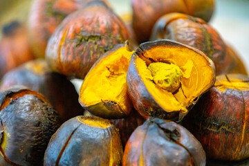 Roasted fruit of the pupunha palm (Bactris gasipaes), typical fruit of the Brazilian tropical...