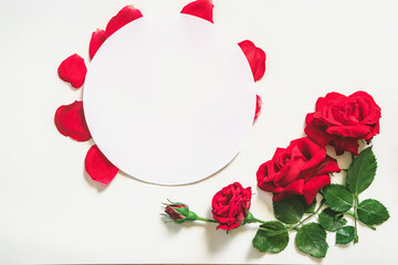 Red roses on white background with copy space. Valentines day concept.
