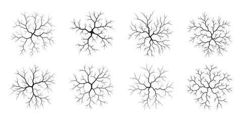 Black branching crack patterns set isolated on a white background. Crack Patterns on White Surface. Vector illustration EPS 10 © Vladyslav Tykhonov