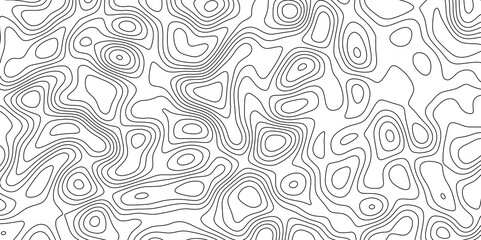 abstract white wave paper curved reliefs background. Topography map pattern, Geographic curved, vector illustration. seamless textrue, vintage waves. Panorama view multicolor wave curve line.