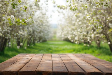 table against a background of a blooming orchard - obrazy, fototapety, plakaty