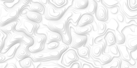  3d render, abstract white paper background. Paper cut vector art background banner texture. multi layer cutout geometric pattern on vector, Abstract soft white background with waves.