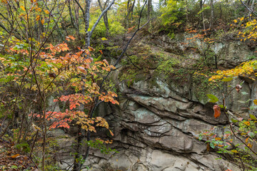 日本　宮城県仙台市太白区の奇岩が並ぶ峡谷、磊々峡の岩壁