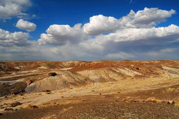 Rugged and Desolate Landscape Petrified Forest Arizona