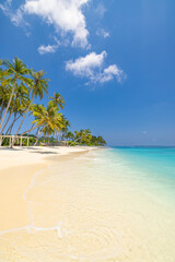 Best Maldives island tourism beach. Tropical sunny sea sky summer coastline, white sand palm trees. Luxury travel vacation destination. Exotic beach landscape. Amazing nature relax freedom nature