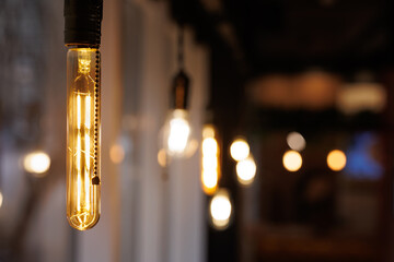 Decorative incandescent lamps in the Edison style in the restaurant hall.