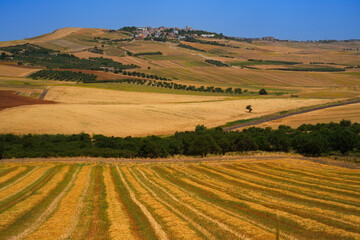 Fototapeta na wymiar Country landscape near Troia,Apulia, Italy