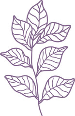 leaves. Hand drawn decorative elements
