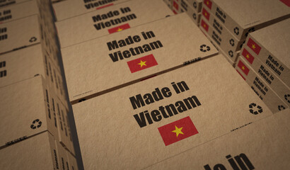 Made in Vietnam box pack 3d illustration