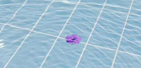Purple flowers of hibiscus on a clear blue water surface. Ripple wave, splashes and drops in swimming pool. Summer mood, vacation, relax and beauty concept background. Banner.