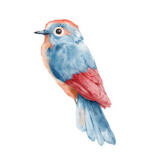 Watercolor card of blue and red bird. Hand painted animal illustration of song bird isolated on white background for design, print, fabric or background.