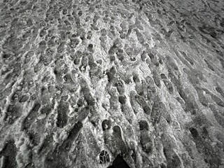 冬の雪の夜の道に残った足跡