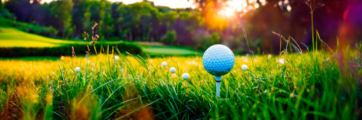 golf ball on the field. Selective focus.