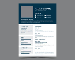CV template or modern resume and vector design.