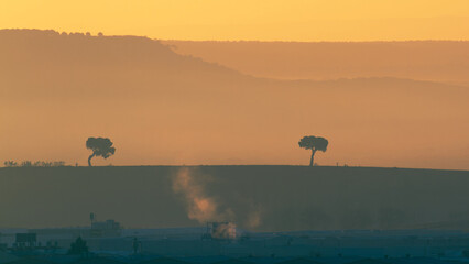 Silhouette of two pine trees at the edge of an industrial landscape