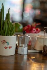 Euphorbia antiquorum are usually dicotyledonous and Euphorbia antiquorum succulent plants. Cactaceae are also some epiphytes in the tropical forest, those that grow on tree branches,