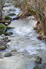 Fast flowing mountain river with rocks and vegetation in long exposure with vertical silk effect